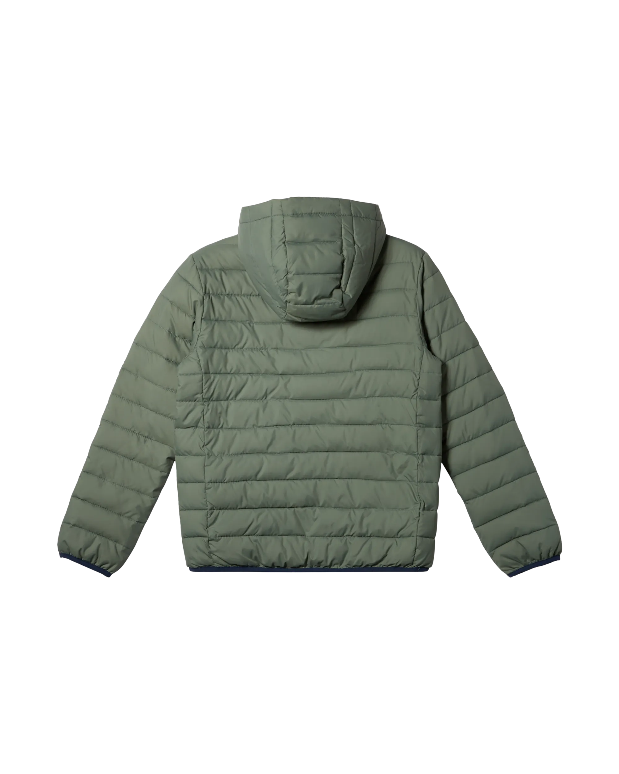 Boys Scaly Jacket in Laurel Wreath