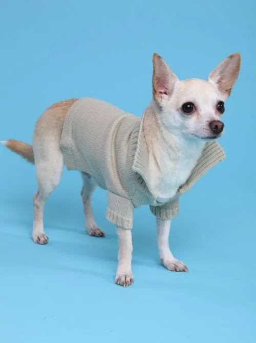 Romy and Jacob Chihuahua Sweaters