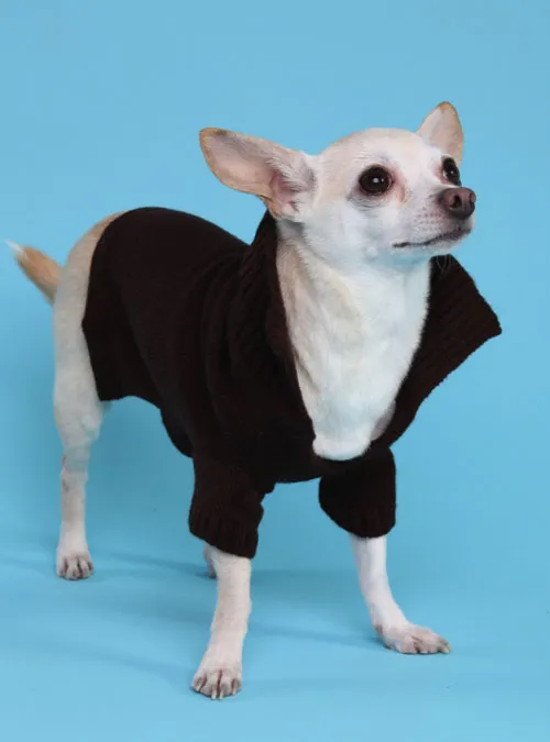 Romy and Jacob Chihuahua Sweaters