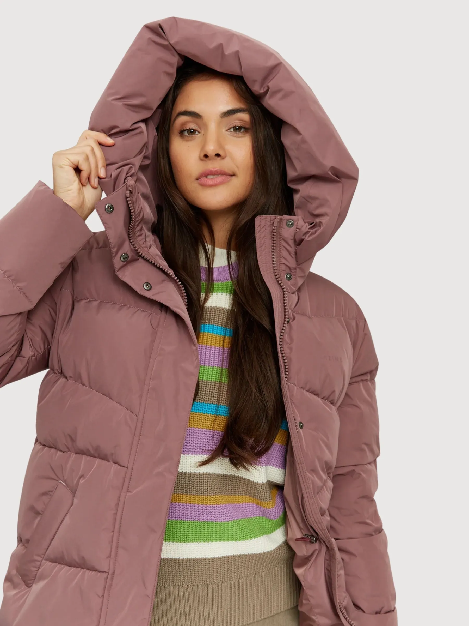 Wanda Women Jacket Grape | Mazine